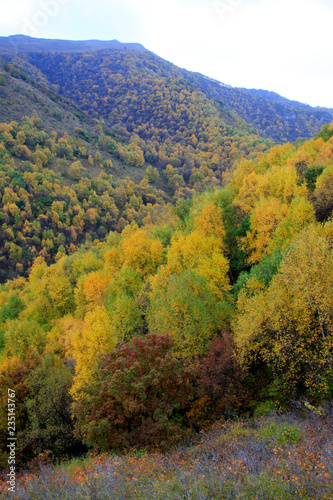 mountain natural scenery