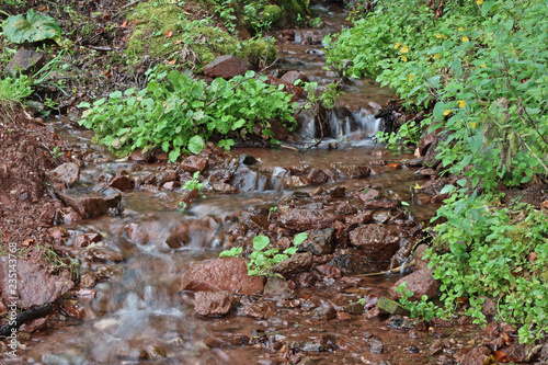 Mountain spring forest woods old mountain stara planina sopur serbia photo