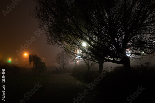 fog at city