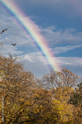  After a summer rain futóztam our balcony