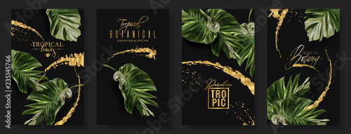 Vector banners set of alocasia tropic leaf