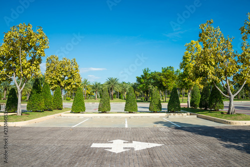 Empty space in city park outdoor concrete parking lot area with blue sky in summer season. Green nature gardening in car parking lot. Friendly environmental and transportation concept.