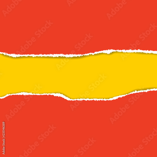 Ripped paper. Vector of ripped paper. the paper was ripped background.