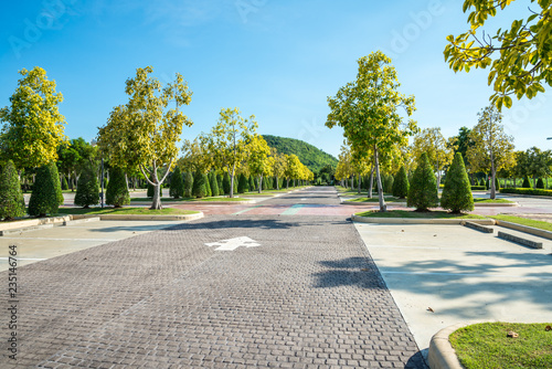 Fototapeta Naklejka Na Ścianę i Meble -  Empty space in city park outdoor concrete parking lot area with blue sky in summer season. Green nature gardening in car parking lot. Friendly environmental and transportation concept.