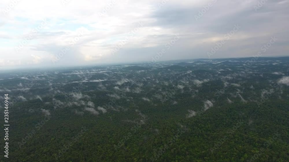 After a heavy rain in Guiana amazonian forest. Drone view fog over canopy After a heavy rain in Guiana amazonian forest. Drone view fog over canopy