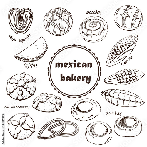 Mexican bakery , sketch doodle . Conchas hand drawn illustration. Can be used for a menu of Mexican cuisine. vintage pattern design, banner.