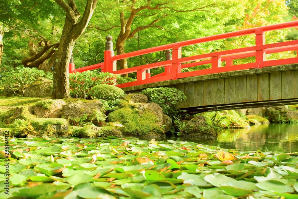 Fototapeta premium 日本庭園