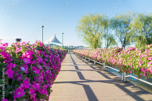 a flowered bridge with petunia on both side