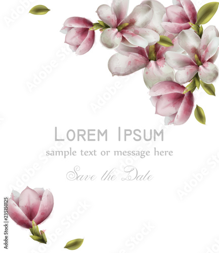 Magnolia beautiful card Vector watercolor. Round beauty flower decors