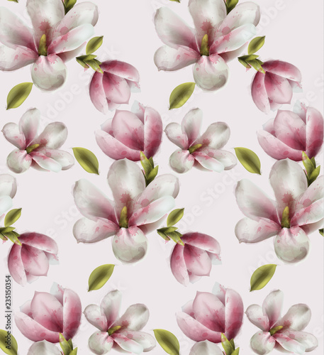 Magnolia pattern Vector watercolor. flowers decor on white backgrounds