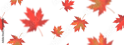 Seamless pattern with bright orange red blurred falling maple leaves isolated on white background. Seasonal banner, cover, wallpaper or holiday vintage decor. Realistic Vector illustration