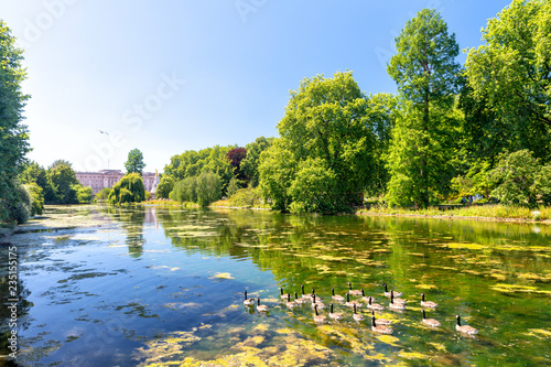 Beautiful trees and landscape of Hyde Park, London photo