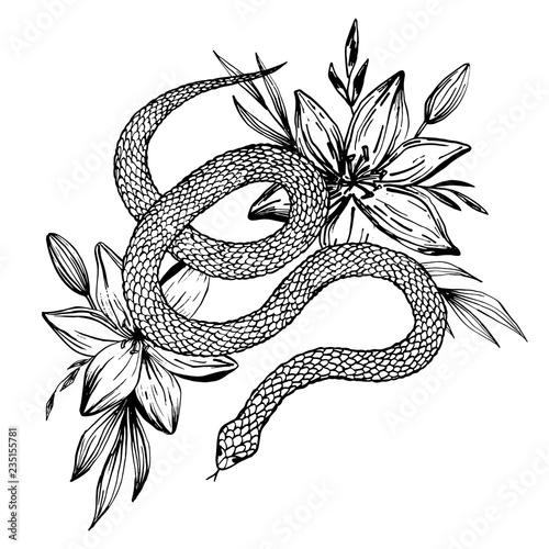 Hand drawn ink snake and lilies flowers, vector illustration. Snake silhouette illustration. Vector tattoo design. Graphic sketch for posters, tattoo, clothes, t-shirt design, pins, patches, stickers.