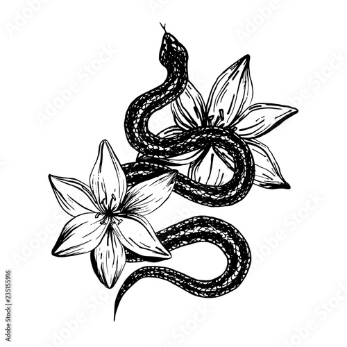 Hand drawn ink snake and lilies flowers, vector illustration. Snake silhouette illustration. Vector tattoo design. Graphic sketch for posters, tattoo, clothes, t-shirt design, pins, patches, stickers.
