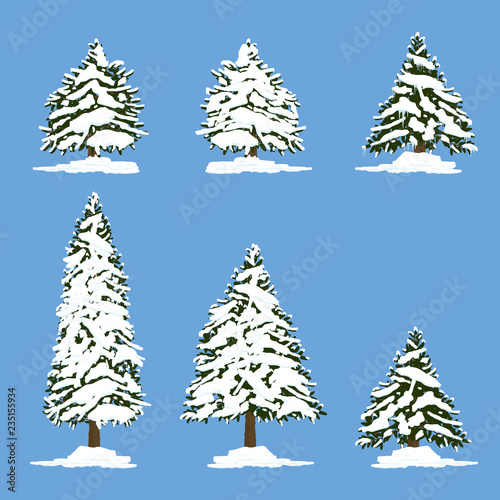 Pine tree under snow illustration. Vector.