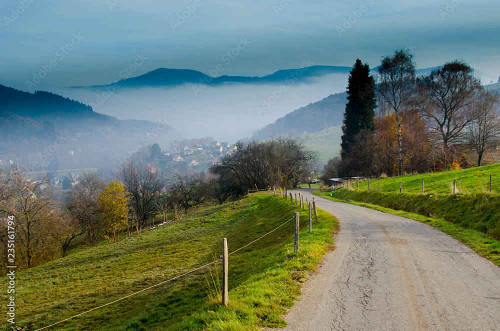 Nebelstimmung oberhalb von Lapoutroie in den Vogesen