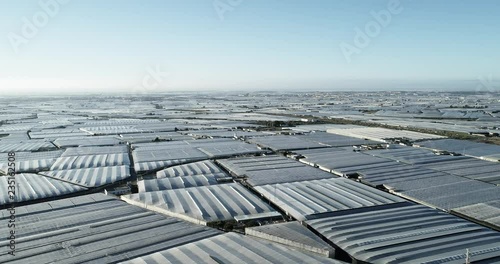 Greenhouses in the municipality of Vicar Almeria Spain photo