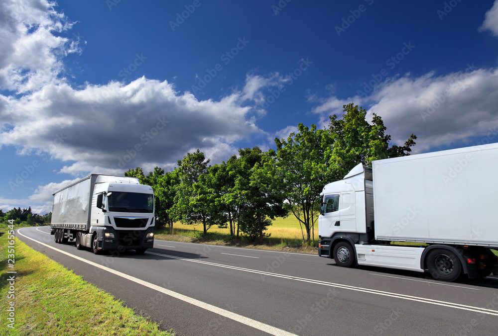 Obraz premium Truck transport on the road 