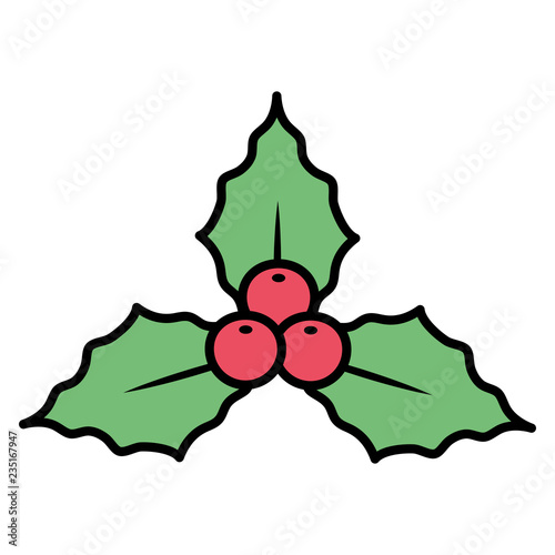 christmas mistle toe icon
