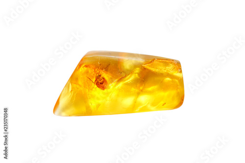 Yellow amber with a fly inside on a white background. Different shapes and colors of fossil ancient resin. Natural mineral. Polished natural stone. Sun Stone Vintage material for jewelers