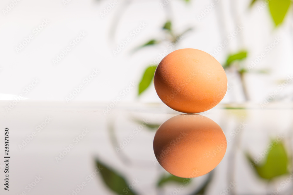 The egg is duplicated The egg is duplicated