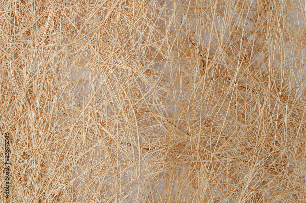 Abstract wooden backgrounds texture above Abstract wooden backgrounds texture above