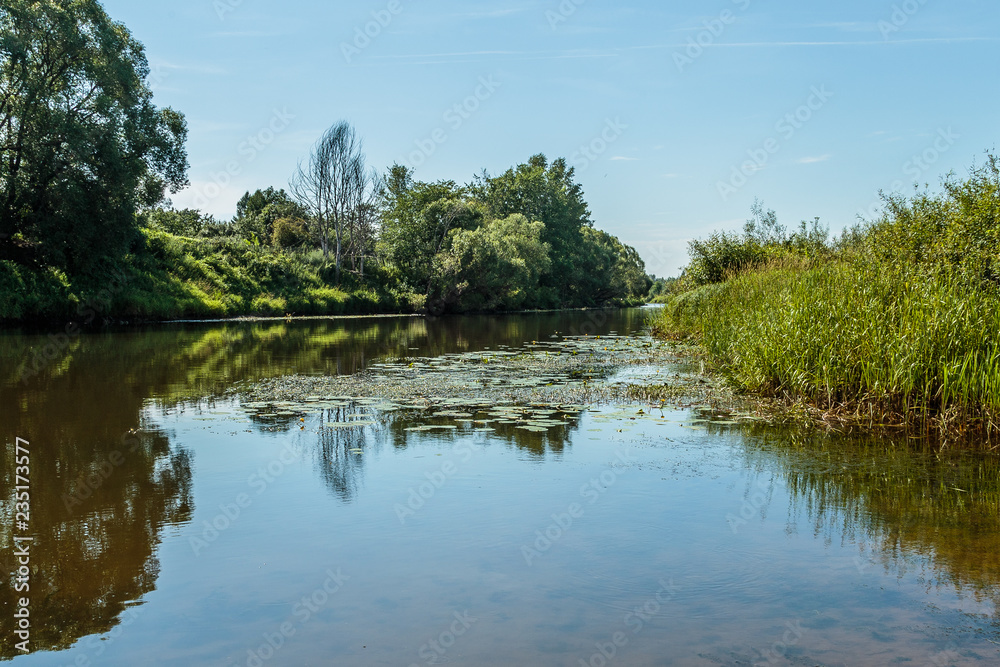 River on a sunny summer day in a village