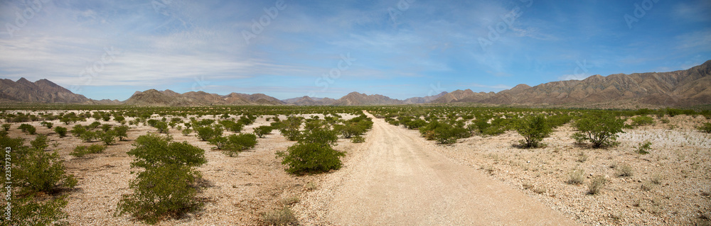 Kaokoland desert road