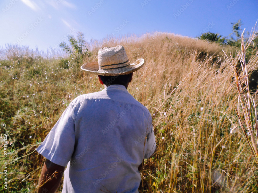 hombre de sombrero en el campo Stock Photo | Adobe Stock