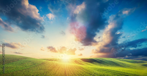 Fotografie Green field landscape and sunset.