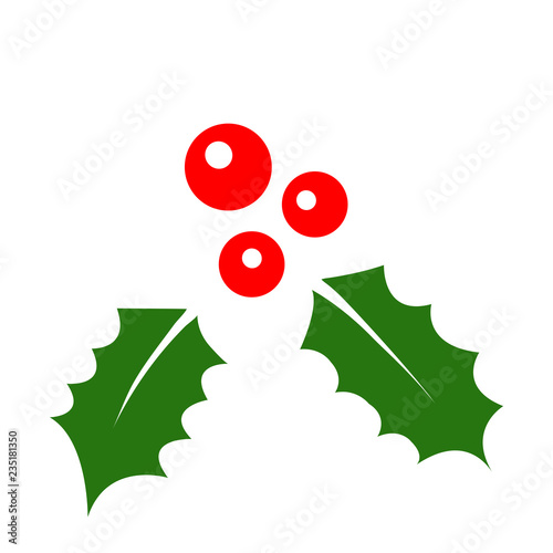 Christmas holly with berries. Vector illustration on white background
