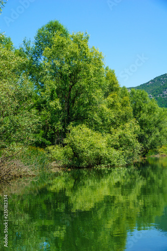 Rijeka Crnojevica  Skadar Lake