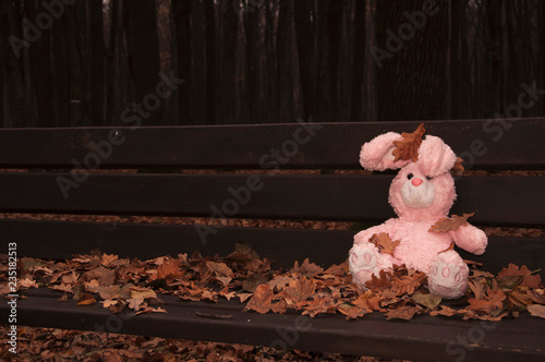 Tablou pe pânză Lonely forgotten abandoned teddy toy bunny-rabbit sat on an wooden bench in forest covered with autumn leaves