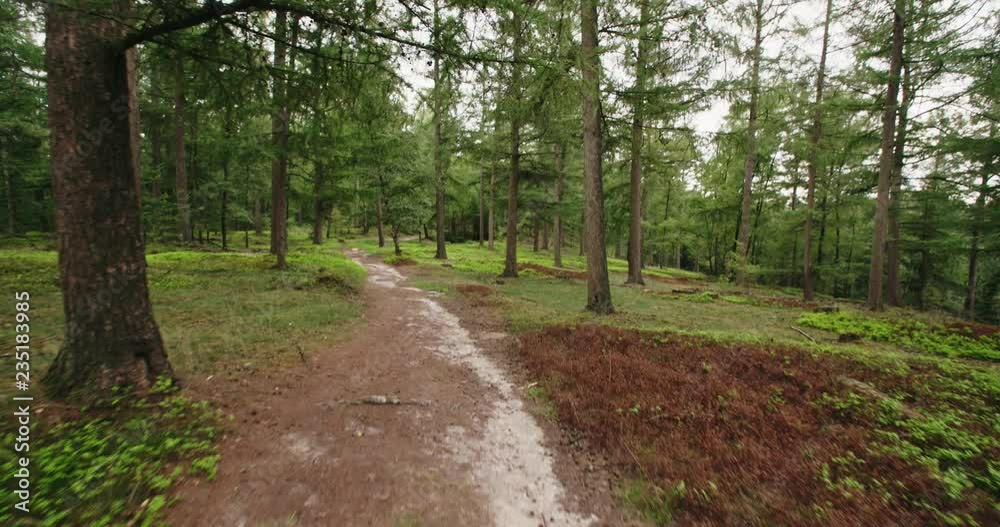 Stabilized POV slow motion shot of a person walking or hiking on a forest path by day. Stabilized POV slow motion shot of a person walking or hiking on a forest path by day.