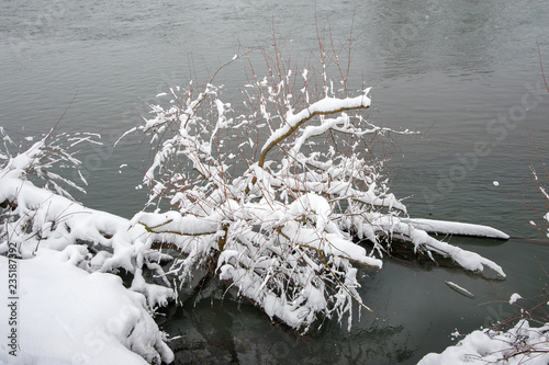 Beautiful winter scene on river after heavy snowfall. Branches of trees and shrubs loaded with snow after heavy snowfall.