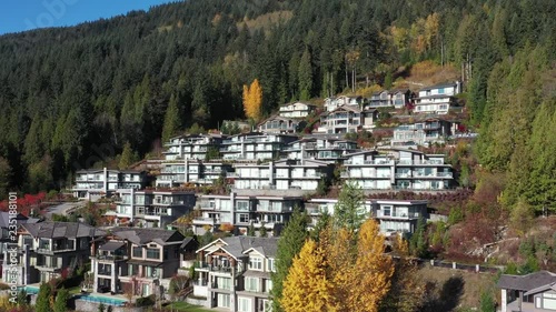 Wallpaper Mural A perfect neighbourhood. Houses in suburb at Summer in the north America. Luxury houses with nice landscape. Aerial drone view. Torontodigital.ca