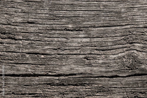 Old wood bench structre. Grey wrinkled hardwood surface, closeup. Abstract natural background. photo