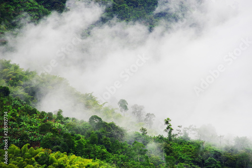 Misty landscape in Buenavista, Quindio, Colombia, South America