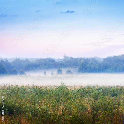 meadow on a misty autumn morning. © Nadia