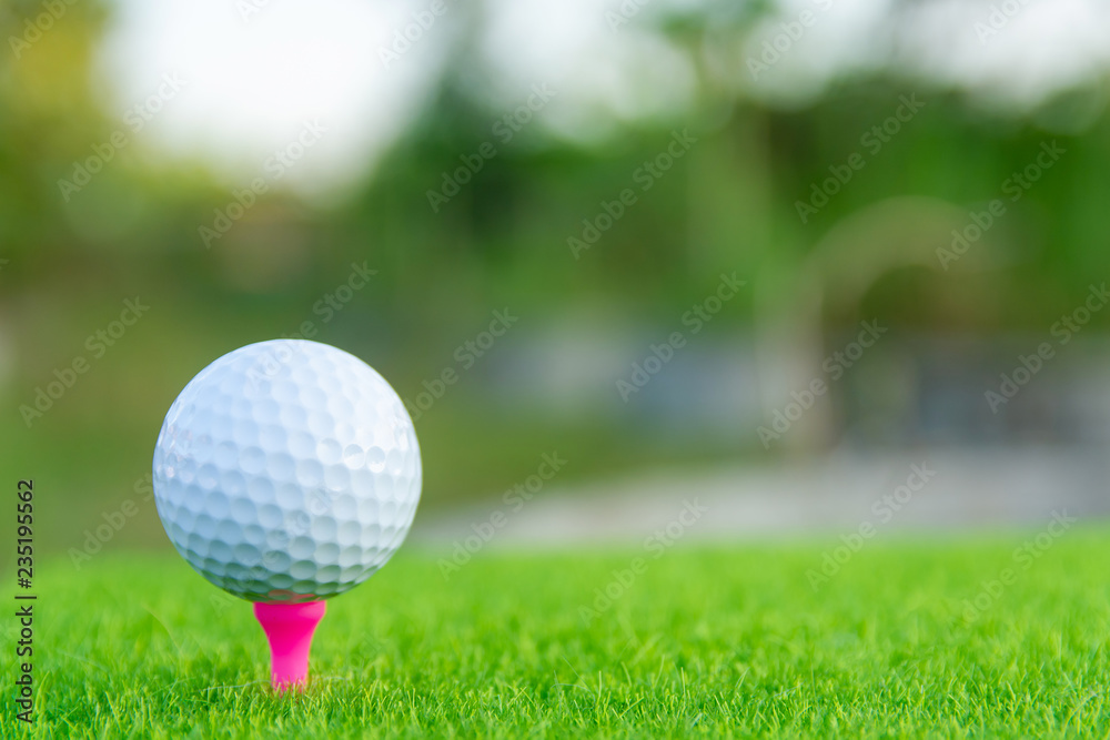 Golf ball with pink tee on green grass ready to play at golf course. with copy space Golf ball with pink tee on green grass ready to play at golf course. with copy space
