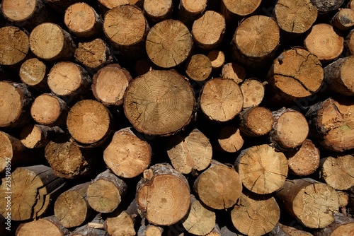 Cut wood on a pile ready for burning