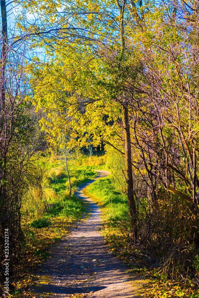 custom made wallpaper toronto digitalAutumn path in the city park