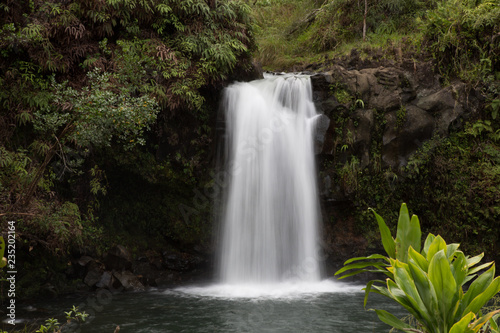 Fototapeta Naklejka Na Ścianę i Meble -  Waterfall on the Road to Hana in Maui
