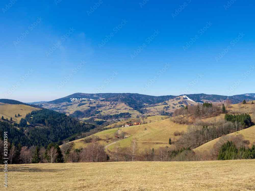 Fototapeta premium Paysage de Forêt-Noire dans le Bade-Wurtemberg en Allemagne. Fröhnd 