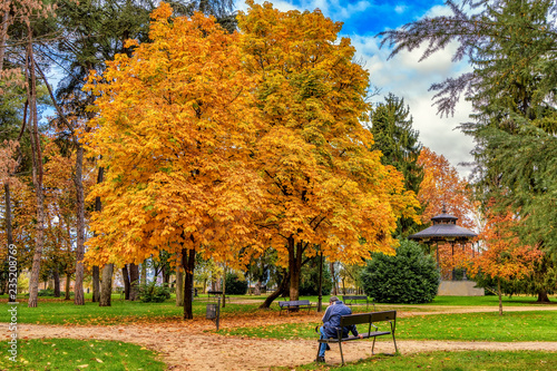 Wooded city park with autumn season foliage.