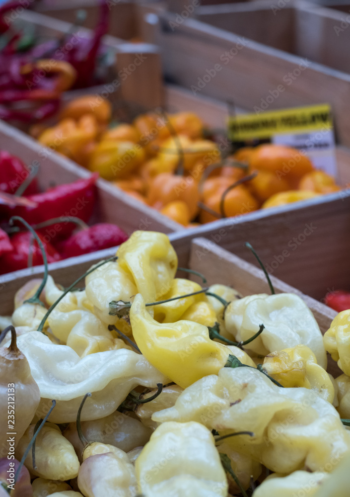 Variety of colourful sweet and chili peppers on sale at Eataly up-scale food market in Turin, Italy. Variety of colourful sweet and chili peppers on sale at Eataly up-scale food market in Turin, Italy.