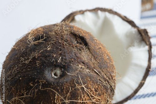 coconut on white background