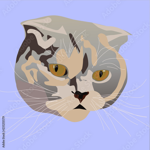 Cat spotted striped head sketch vector graphics color picture