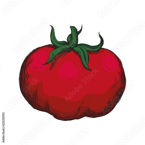 fresh tomato vegetarian food