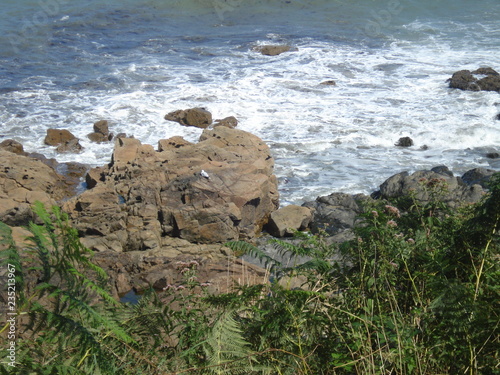 photo.